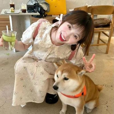 飞燕倾城